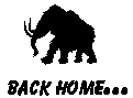 backhome.jpg (9823 bytes)